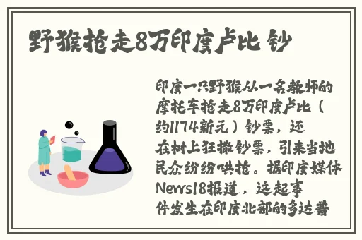 天天看高清影视在线官网