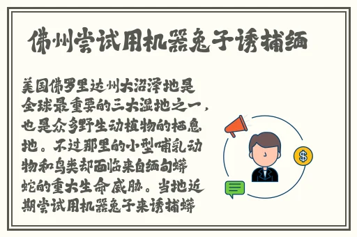 王拉拉升职辰悦最新更新内容阅读
