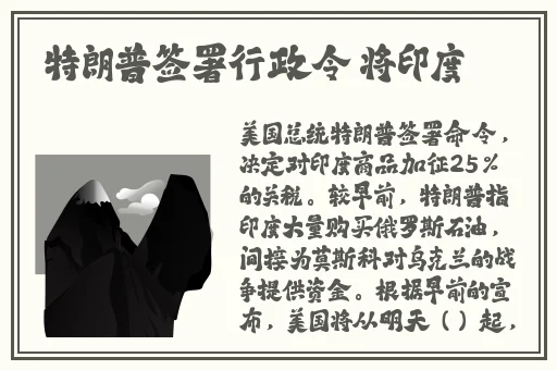 爸气十足兔子先生在线观看